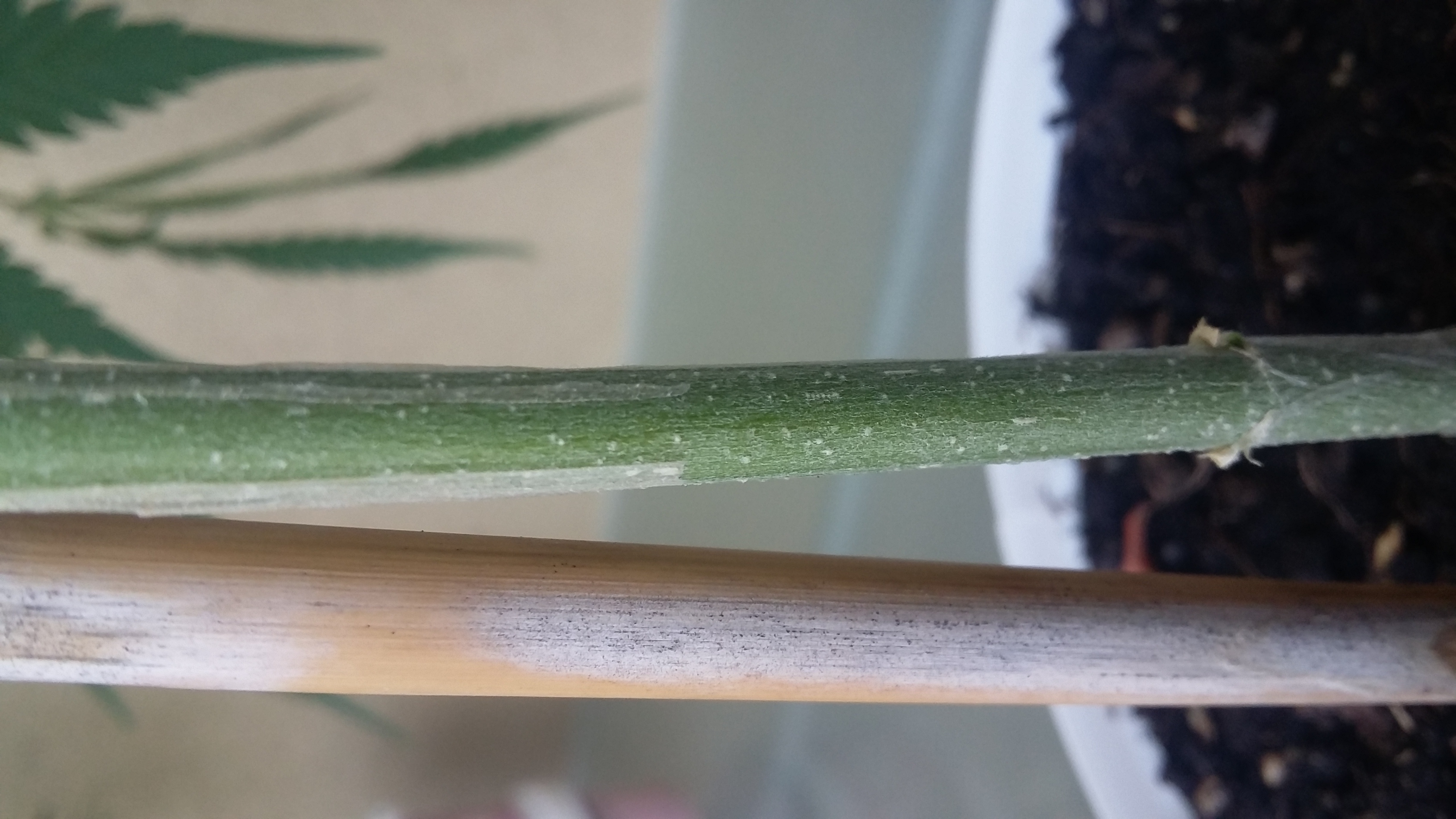 20160712_125547.jpg