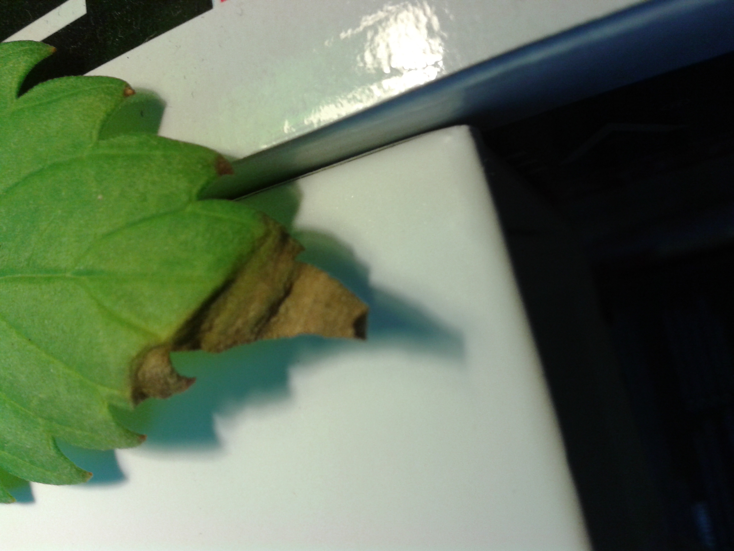 20160528_125840.jpg