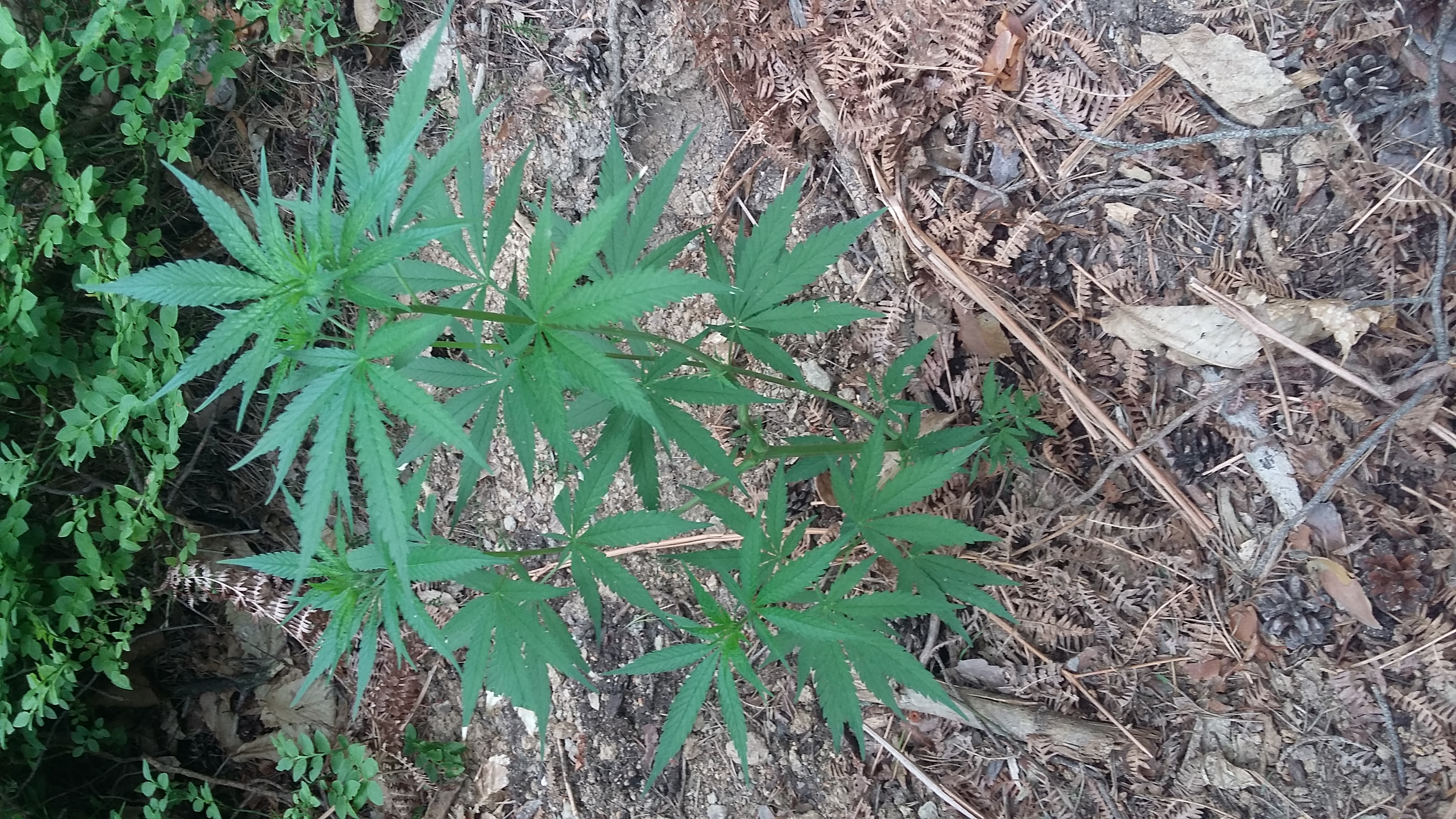20160530_122419.jpg